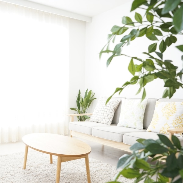Recurring cleaning services that are tailored to your scheudule